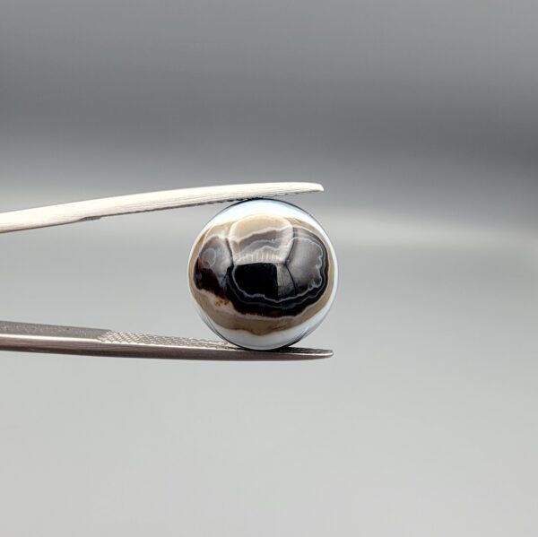 Multi-angle macro photographs of an 8.02-carat natural African Banded Eye Agate (Sulemani Aqeeq) held in steel gem tweezers, displaying a high round cabochon dome with wavy concentric white and earth-brown banding around a deep black core, crisp side fortification layers, and a flat jet-black base.