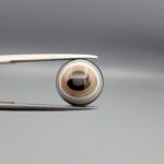 Multi-angle macro photographs of a 5.64-carat natural African Banded Eye Agate (Sulemani Aqeeq) held in gem tweezers, displaying a high round cabochon dome with precise concentric white and warm brown fortification rings around a dark brown core, crisp side profile banding, and a reverse side showing a unique tricolor blue, white, and dark brown pattern.
