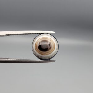 Multi-angle macro photographs of a 5.64-carat natural African Banded Eye Agate (Sulemani Aqeeq) held in gem tweezers, displaying a high round cabochon dome with precise concentric white and warm brown fortification rings around a dark brown core, crisp side profile banding, and a reverse side showing a unique tricolor blue, white, and dark brown pattern.