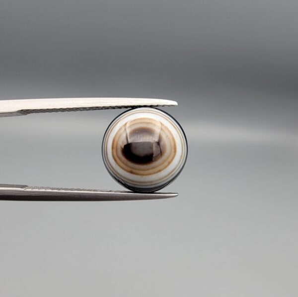 Multi-angle macro photographs of a 5.64-carat natural African Banded Eye Agate (Sulemani Aqeeq) held in gem tweezers, displaying a high round cabochon dome with precise concentric white and warm brown fortification rings around a dark brown core, crisp side profile banding, and a reverse side showing a unique tricolor blue, white, and dark brown pattern.