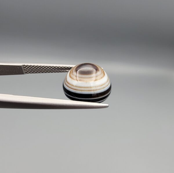 Multi-angle macro photographs of a 5.64-carat natural African Banded Eye Agate (Sulemani Aqeeq) held in gem tweezers, displaying a high round cabochon dome with precise concentric white and warm brown fortification rings around a dark brown core, crisp side profile banding, and a reverse side showing a unique tricolor blue, white, and dark brown pattern.