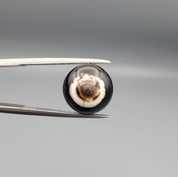 Multi-angle macro photographs of a 5.62-carat natural African Banded Eye Agate (Sulemani Aqeeq) held in steel gem tweezers, showcasing a high round cabochon dome with bold concentric white and jet-black banding framing a brownish-black pupil core, crisp side profile layers, and a flat white base with natural dark dendrite plumes.