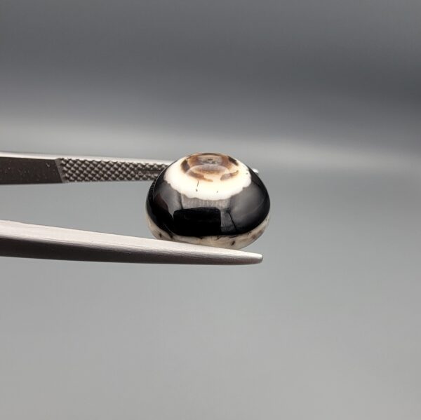 Multi-angle macro photographs of a 5.62-carat natural African Banded Eye Agate (Sulemani Aqeeq) held in steel gem tweezers, showcasing a high round cabochon dome with bold concentric white and jet-black banding framing a brownish-black pupil core, crisp side profile layers, and a flat white base with natural dark dendrite plumes.