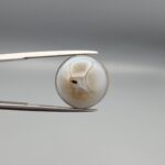 Multi-angle macro photographs of an 11.83-carat natural African Banded Eye Agate (Sulemani Aqeeq) held in gem tweezers, showing a high round cabochon dome with translucent misty-grey eye banding, a warm brownish lower rim, and a flat reverse revealing an intricate mossy dendritic chalcedony matrix.