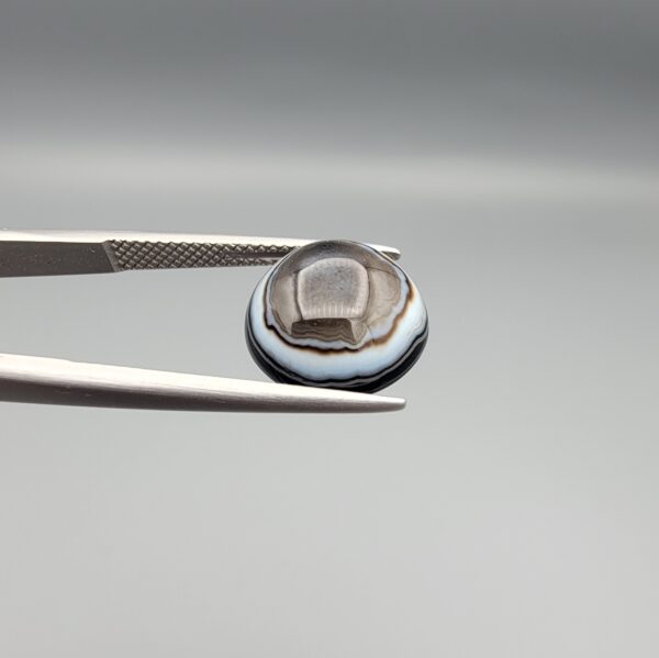 Multi-angle macro photographs of a 12.13-carat natural African Banded Eye Agate (Sulemani Aqeeq) held in steel gem tweezers, showcasing a top view with concentric white and dark brown fortification bands surrounding a translucent core with a dark eye inclusion, a profile view displaying layered fortification banding, and a reverse view revealing multiple rounded eye motifs and cellular banding against a dark chalcedony field.