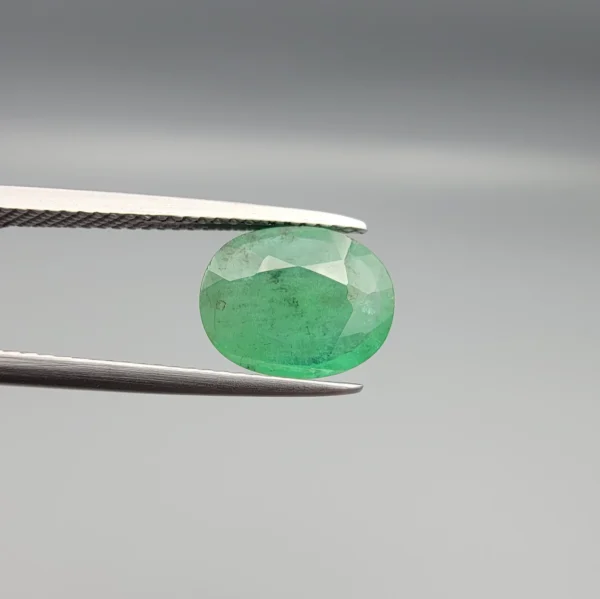 High-resolution macro photograph showing a 2.89-carat natural Zambian Emerald (Zamrud / Panna) oval faceted gemstone held in gemological tweezers, displaying a vibrant mint-to-forest green hue with natural internal jardin inclusions and clean faceting.