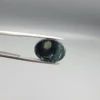 High-resolution macro photographs showing a 10.23-carat natural Serpentine (Zehr Mora) oval cabochon held in gemological tweezers from top, profile, and back angles, displaying mottled dark forest green matrix, sage inclusions, and a smooth domed polish.