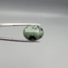 High-resolution macro photographs showing a 10.00-carat natural Serpentine (Zehr Mora) oval cabochon held in gemological tweezers from front and back views, displaying a sage-green body matrix with striking black mineral inclusions and veining under a smooth dome polish.
