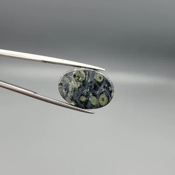 High-resolution macro photographs showing a 12.97-carat natural Serpentine (Zehr Mora) oval cabochon held in gemological tweezers from front and back views, displaying a dark charcoal-green matrix with distinct pale-green circular orbital "eye" inclusions under a high-luster polished dome.