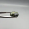 High-resolution macro photographs showing a 10.27-carat natural Serpentine (Zehr Mora) oval cabochon held in gemological tweezers from front, profile, and back angles, displaying an intricate moss-green matrix with swirling dark veins, golden-tan mineral accents, and a smooth domed polish.