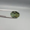 High-resolution macro photographs showing a 10.27-carat natural Serpentine (Zehr Mora) oval cabochon held in gemological tweezers from front, profile, and back angles, displaying an intricate moss-green matrix with swirling dark veins, golden-tan mineral accents, and a smooth domed polish.
