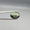 High-resolution macro photographs showing a 9.90-carat natural Serpentine (Zehr Mora) oval cabochon held in gemological tweezers from front and back views, displaying a sage-green and dark forest matrix with a central concentric "eye" orbital formation and smooth domed polish.