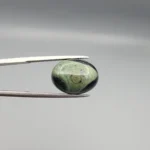 High-resolution macro photographs showing a 9.90-carat natural Serpentine (Zehr Mora) oval cabochon held in gemological tweezers from front and back views, displaying a sage-green and dark forest matrix with a central concentric "eye" orbital formation and smooth domed polish.