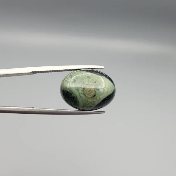 High-resolution macro photographs showing a 9.90-carat natural Serpentine (Zehr Mora) oval cabochon held in gemological tweezers from front and back views, displaying a sage-green and dark forest matrix with a central concentric "eye" orbital formation and smooth domed polish.