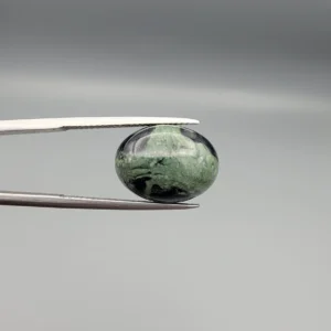 High-resolution macro photographs showing a 10.04-carat natural Serpentine (Zehr Mora) oval cabochon held in gemological tweezers from front and back views, displaying a striking bicolor division of sage-green matrix and deep black mineral bands under a high-luster polished dome.