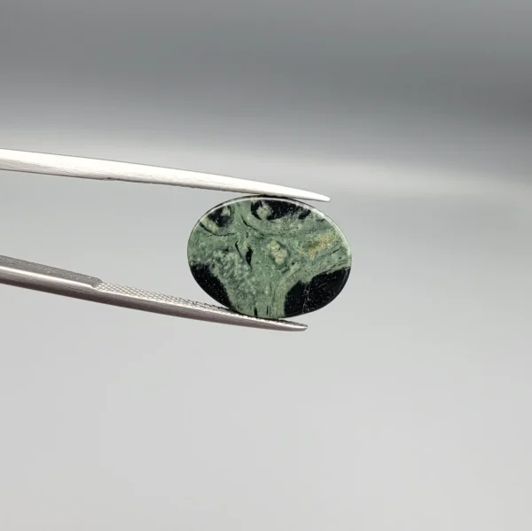 High-resolution macro photographs showing a 10.04-carat natural Serpentine (Zehr Mora) oval cabochon held in gemological tweezers from front and back views, displaying a striking bicolor division of sage-green matrix and deep black mineral bands under a high-luster polished dome.
