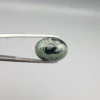 High-resolution macro photographs showing a 10.17-carat natural Serpentine (Zehr Mora) oval cabochon held in gemological tweezers from front and back views, displaying a sage-green matrix with a prominent dark central "eye" pattern, swirling mineral veining, and a smooth domed polish.