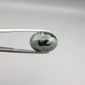 High-resolution macro photographs showing a 10.17-carat natural Serpentine (Zehr Mora) oval cabochon held in gemological tweezers from front and back views, displaying a sage-green matrix with a prominent dark central "eye" pattern, swirling mineral veining, and a smooth domed polish.