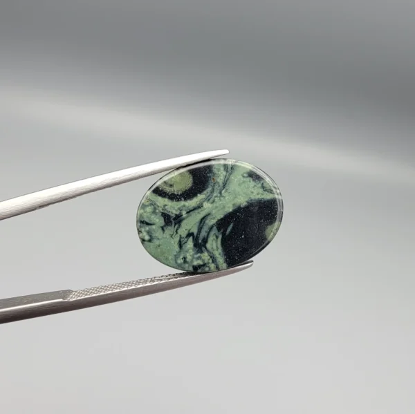High-resolution macro photographs showing a 10.17-carat natural Serpentine (Zehr Mora) oval cabochon held in gemological tweezers from front and back views, displaying a sage-green matrix with a prominent dark central "eye" pattern, swirling mineral veining, and a smooth domed polish.