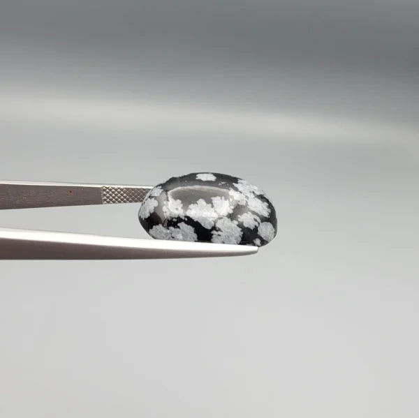 High-resolution macro photographs showing a 13.78-carat natural Serpentine (Zehr Mora) oval cabochon held in tweezers and showcased on hand, displaying a deep jet-black base matrix contrasting with crisp white snowflake-like inclusions under a high-luster polished dome.