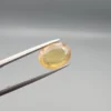 High-resolution macro photograph displaying a 3.78-carat natural Yellow Sapphire (Pukhraj) oval faceted gemstone held securely in gemological tweezers, featuring a warm golden-yellow body color, natural crystal inclusions, and brilliant facet architecture.