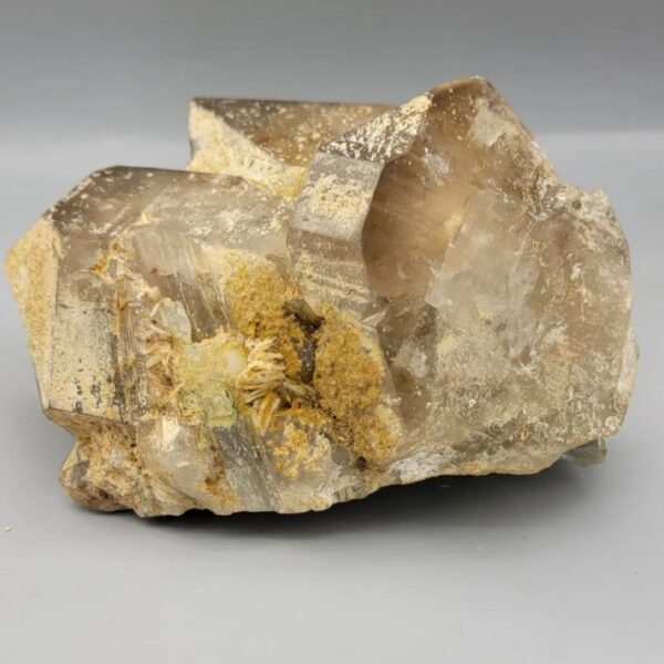 Acquire a raw geological masterpiece with this 2,318 Gram Natural Multi-Crystal Smoky Quartz Cluster on Feldspar Matrix. Mined directly from the world-renowned alpine-type mineral pegmatites of Pakistan, this 100% natural, untreated cabinet specimen showcases a dramatic assembly of robust, smoky-tea colored quartz crystals anchored onto a creamy white feldspar host rock. The specimen features sharp, undamaged pyramidal terminations, distinct hexagonal crystal faces, and natural earthy mineral dusting that attests to its unrefined, straight-from-the-earth authenticity. Revered globally by mineral collectors and metaphysical practitioners alike as the premier stone of grounding (Zameen) and electromagnetic clearing, Smoky Quartz neutralizes negative energy, grounds spiritual intentions, and instills mental clarity and resilience. Weighing over 2.3 kilograms, this museum-quality mineral cluster serves as an imposing centerpiece for luxury interior decor, executive study displays, corporate lobbies, or high-end mineral collections.